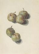 Edouard Manet Etude de cinq prunes (mk40) oil on canvas